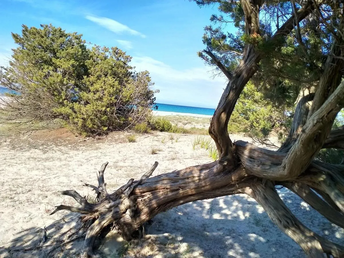*** Gasthof Hotel Caletta Sul Mare La Caletta Italien